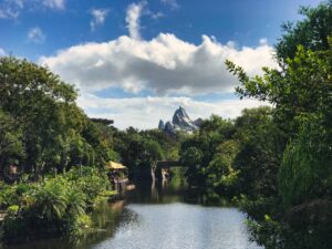 Disney’s Animal Kingdom